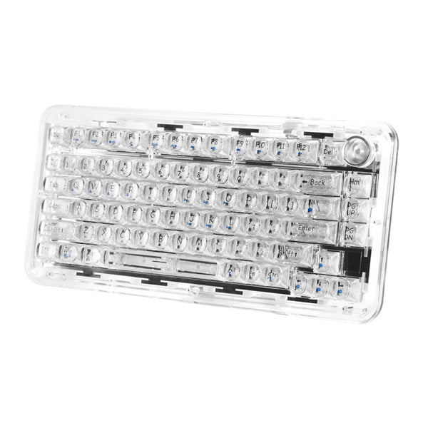 Marvo-ColorReco F81 F66 Transparent Wireless Mechanical Keyboard